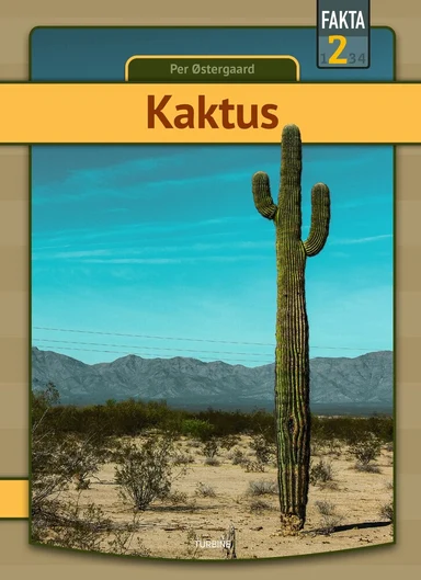 Kaktus