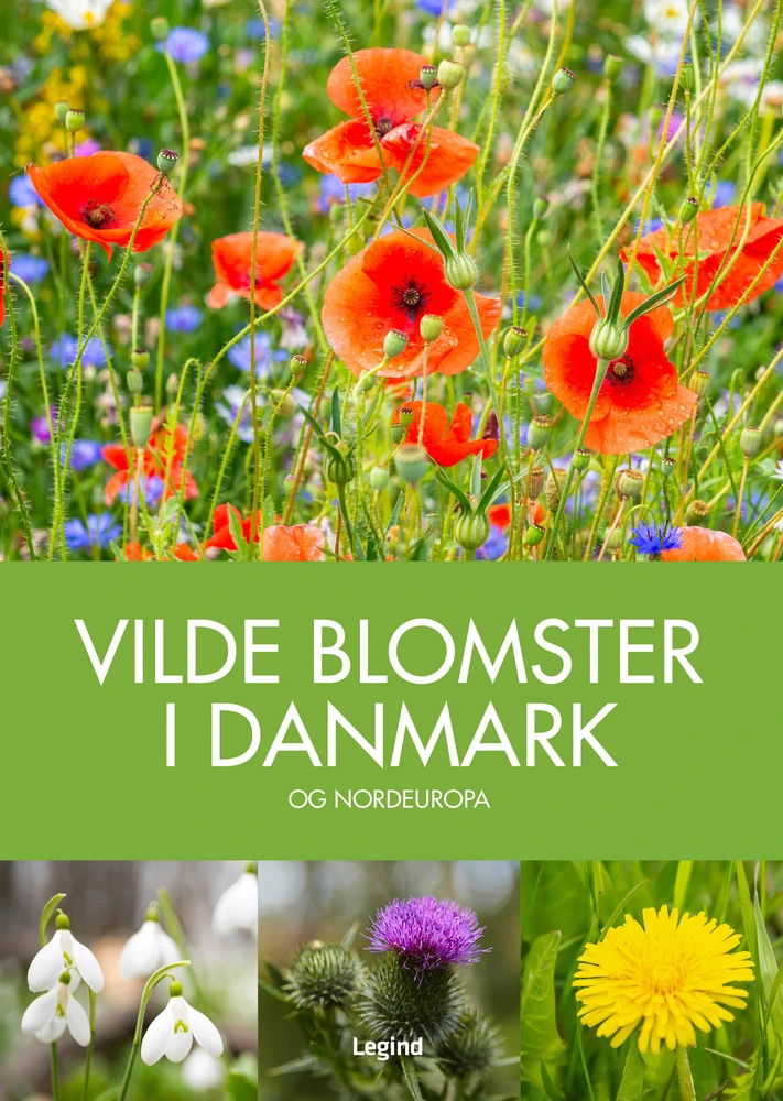 Billede af Vilde blomster i Danmark