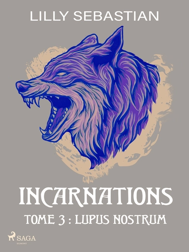 Incarnations - Tome 3 