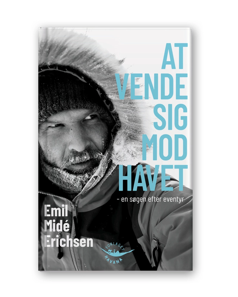 Billede af At vende sig mod havet