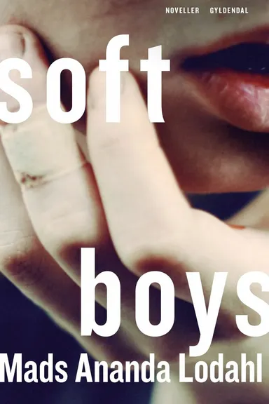 Soft Boys