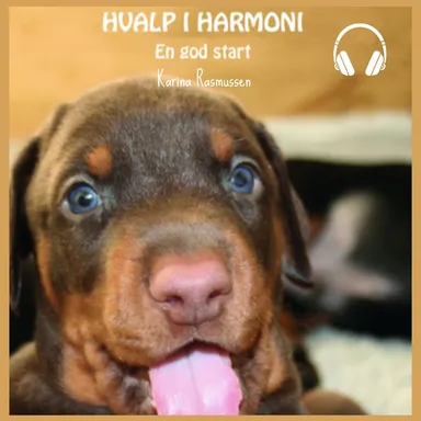 Hvalp i Harmoni - En god start