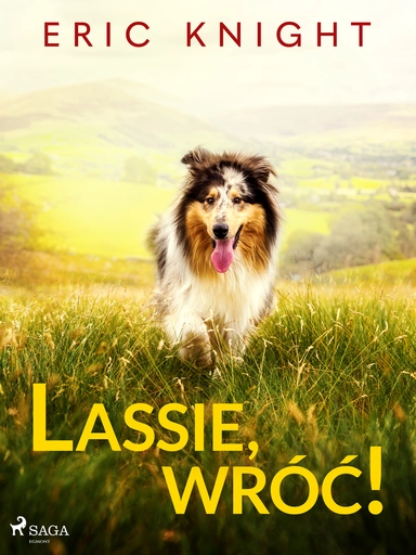 Lassie, wróć!
