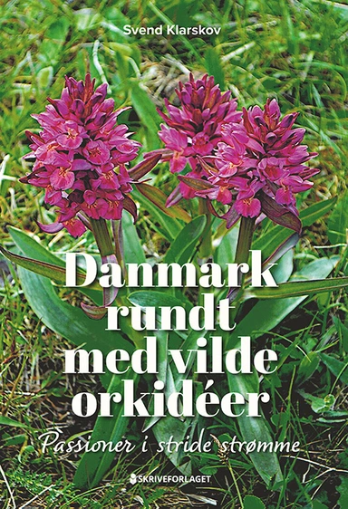 Danmark rundt med vilde orkidéer