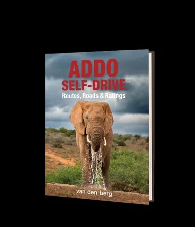 Addo Self-drive: Routes, Roads & Ratings
