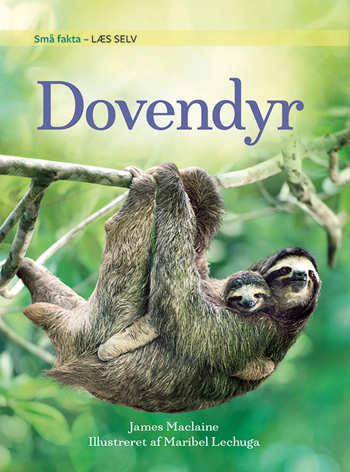 Billede af Små fakta: Dovendyr