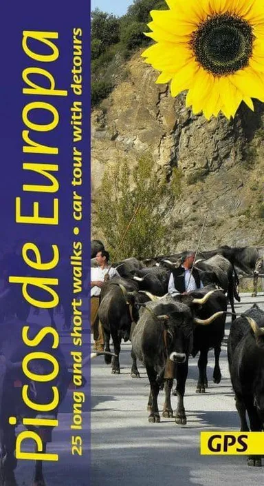 Picos de Europa: 25 long and short walks with detailed maps and GPS
