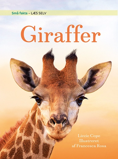 Små fakta: Giraffer