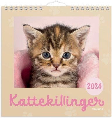 Kalender 2024 kattekillinger