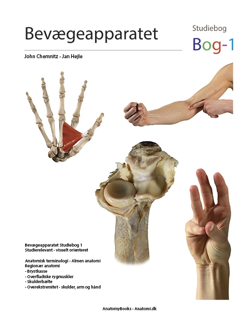 Billede af Bevægeapparatet - Bog1