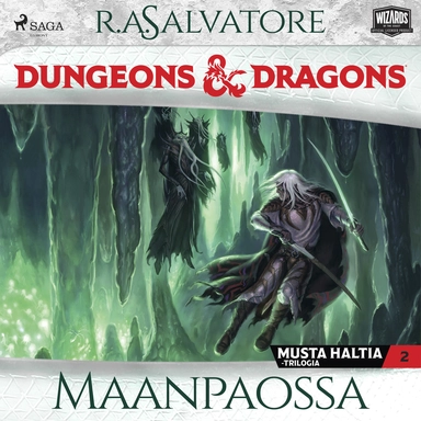 Dungeons & Dragons – Drizztin legenda