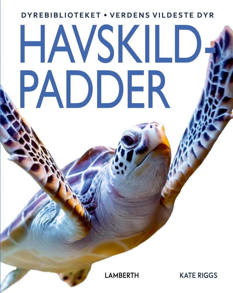 Billede af Havskildpadder