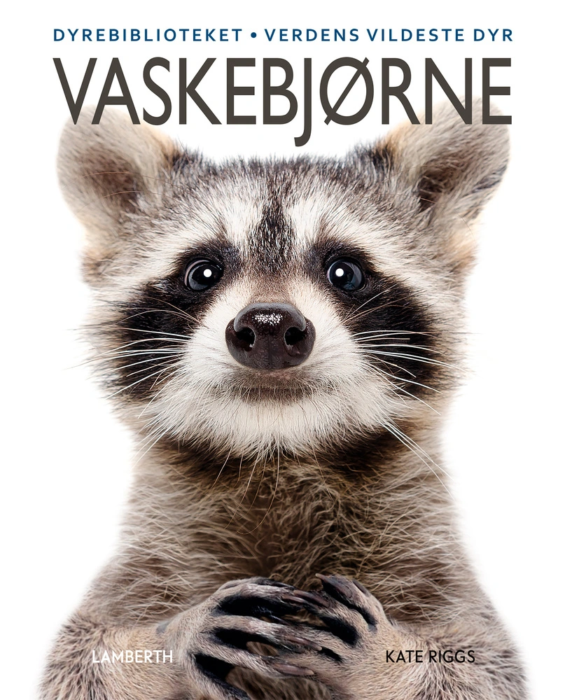 Billede af Vaskebjørne