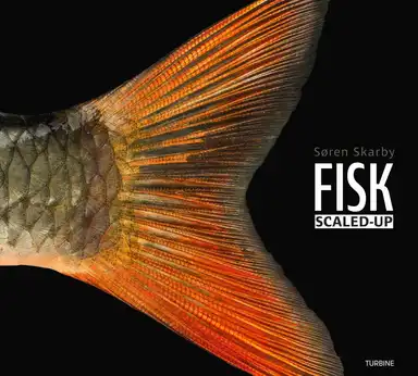 FISK – scaled-up
