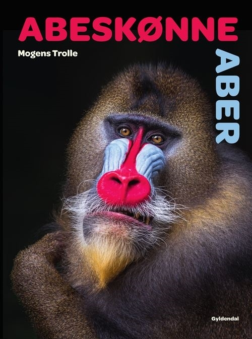Billede af Abeskønne aber