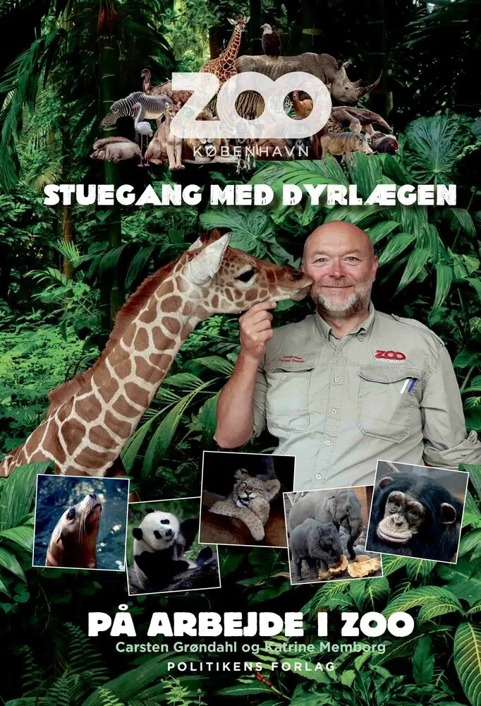 På Arbejde I Zoo Stuegang Med Dyrlægen