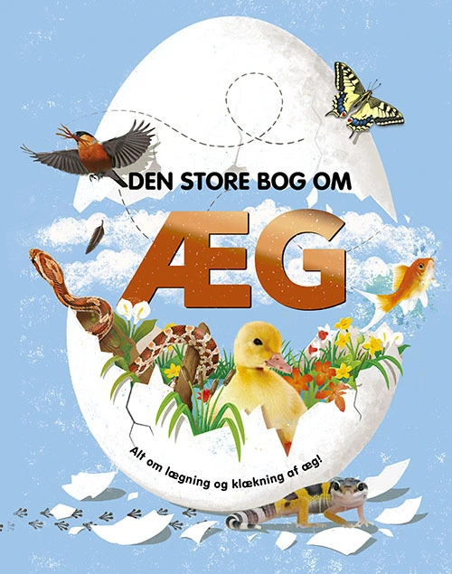 Billede af Den store bog om æg
