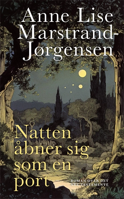 Billede af Natten åbner sig som en port