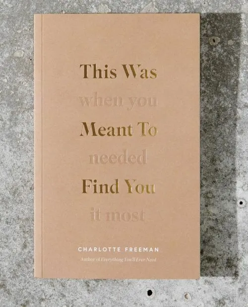 Billede af This Was Meant to Find You: When You Needed It Most