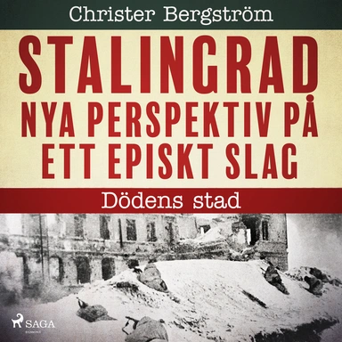 Stalingrad - nya perspektiv på ett episkt slag