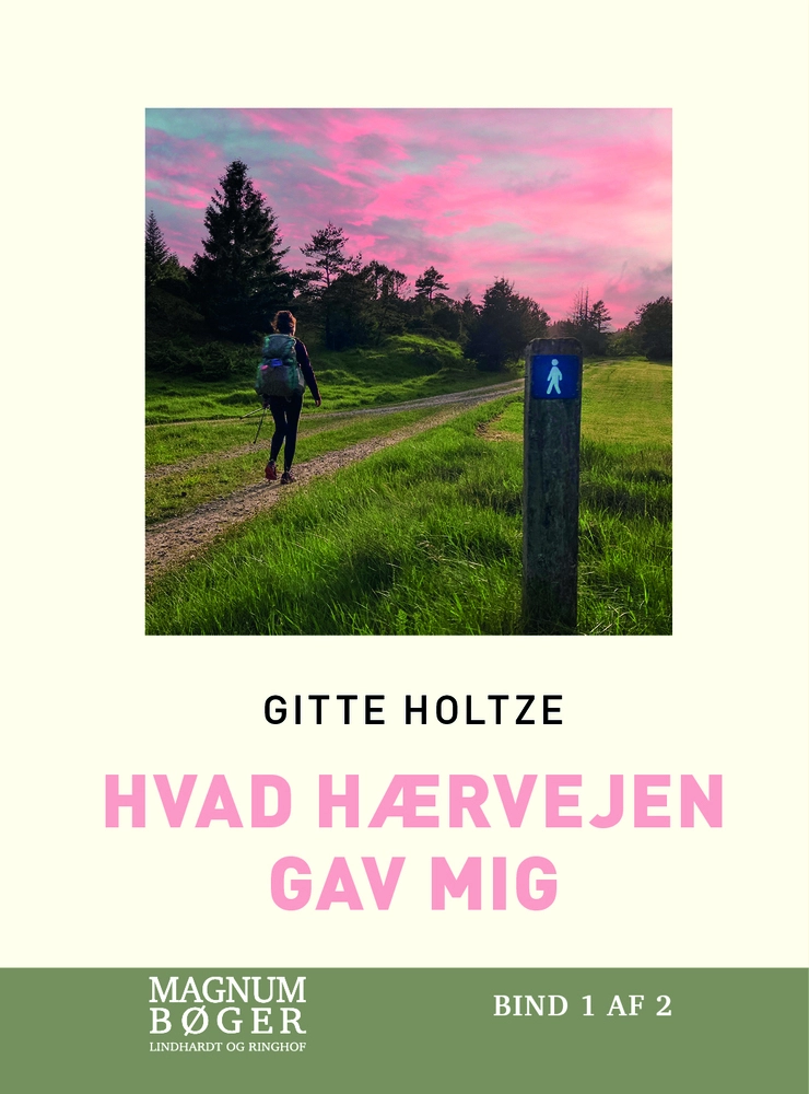 Billede af Hvad Hærvejen gav mig (Storskrift)