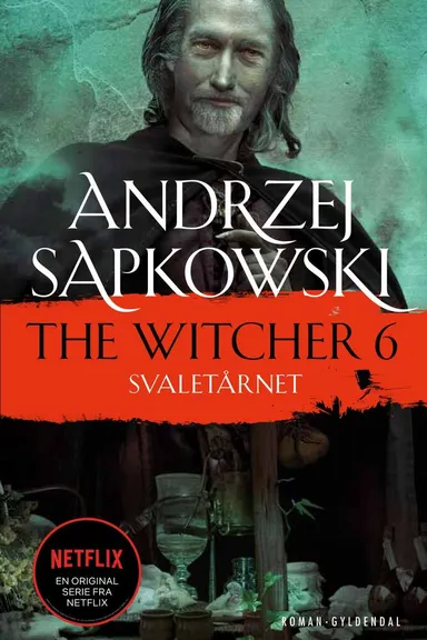 THE WITCHER 6