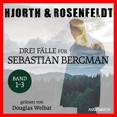 Drei Fälle für Sebastian Bergman (Band 1-3)