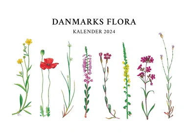 Danmarks flora - Kalender 2024