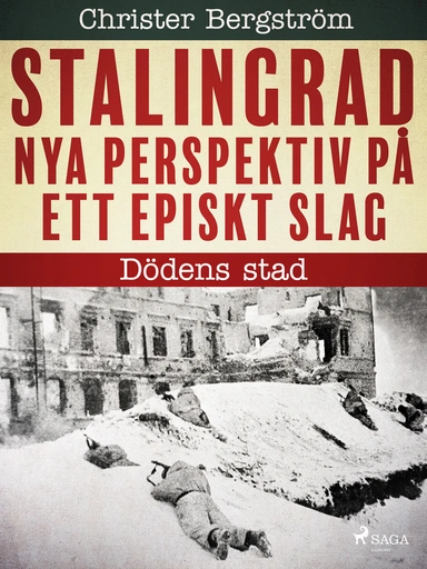 Stalingrad - nya perspektiv på ett episkt slag