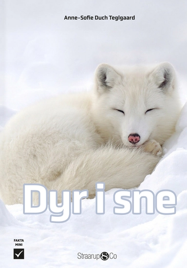 Dyr i sne 