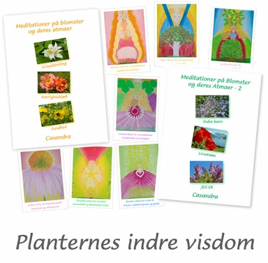 Planternes indre visdom