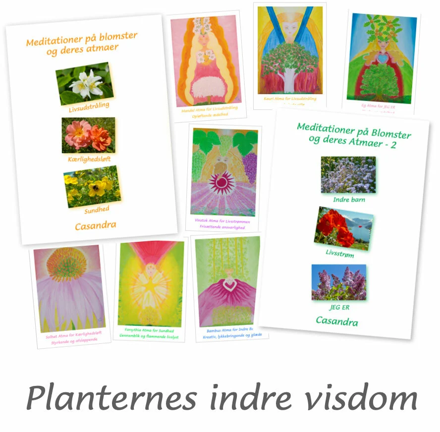 Billede af Planternes indre visdom