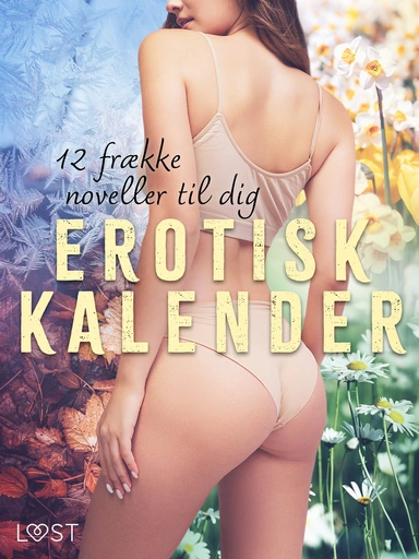 Erotisk kalender – 12 frække noveller til dig
