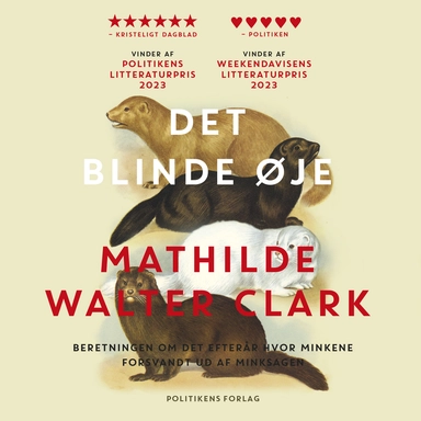 Det blinde øje