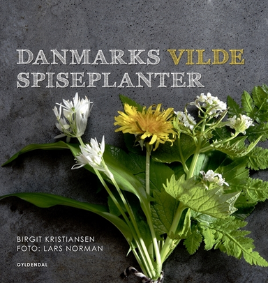 Danmarks vilde spiseplanter