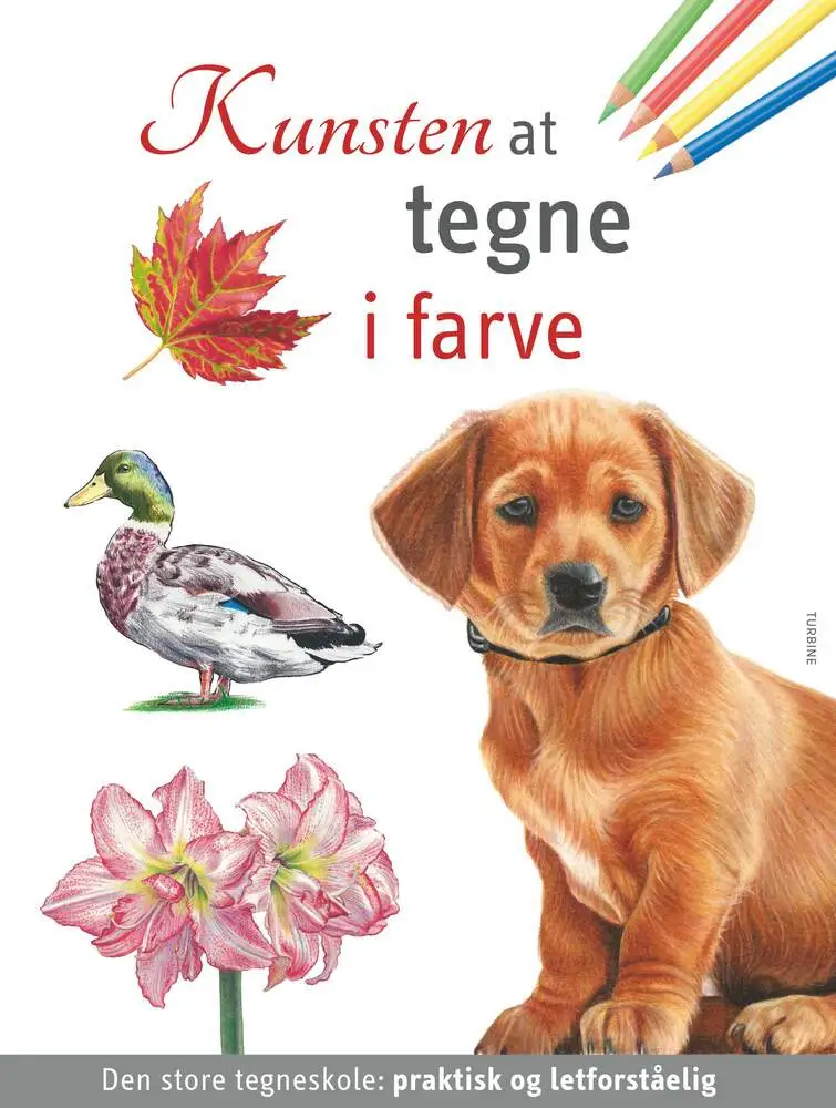 Kunsten Tegne Farve