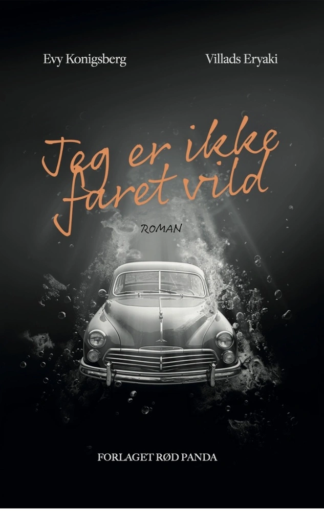 Billede af Jeg er ikke faret vild