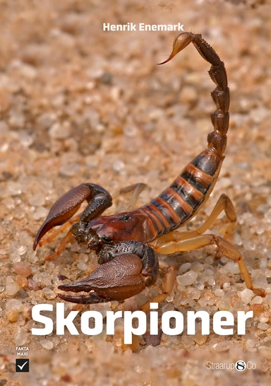 Skorpioner 