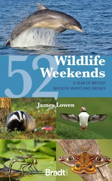 52 Wildlife Weekends: A Year of British Wildlife-Watching Breaks