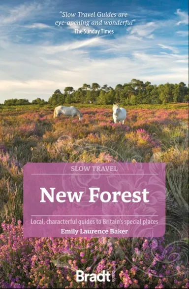 New Forest (Slow Travel)