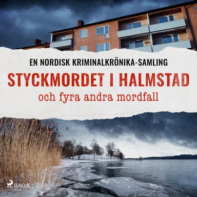 Styckmordet i Halmstad, och fyra andra mordfall