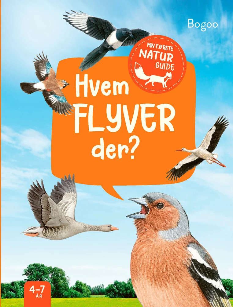 Billede af Hvem flyver der?