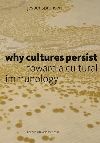 Why Cultures Persist