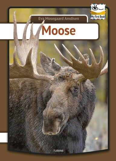Moose