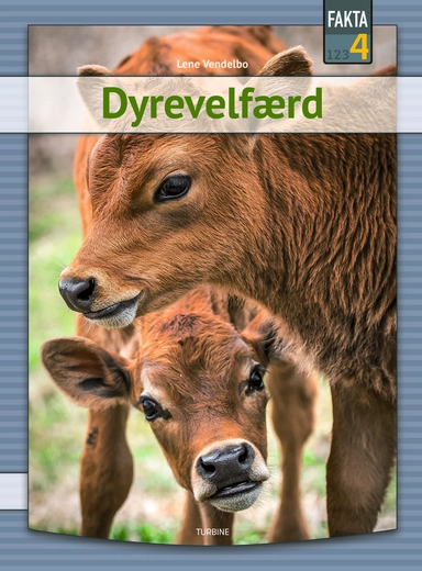 Dyrevelfærd