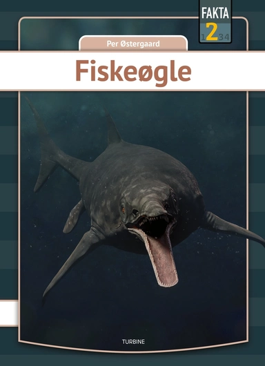 Fiskeøgle