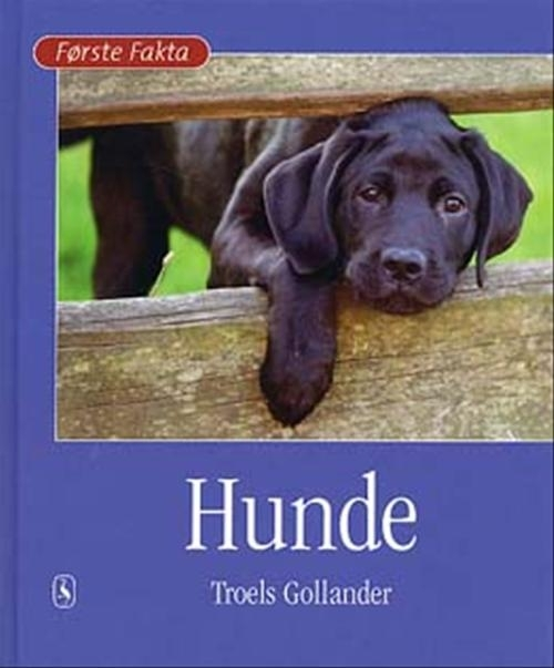 Billede af Hunde