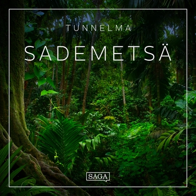 Tunnelma - Sademetsä