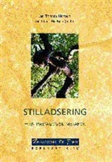 Stilladsering En Pædagogisk Metafor