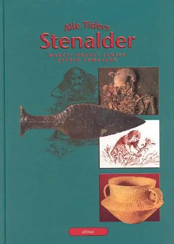 Billede af Alle tiders stenalder